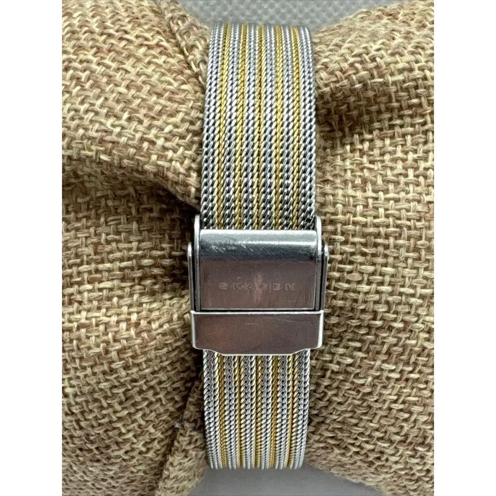 Skagen Ancher 355SSGS Women Stainless Steel Mesh Analog Dial Quartz Watch JNA900